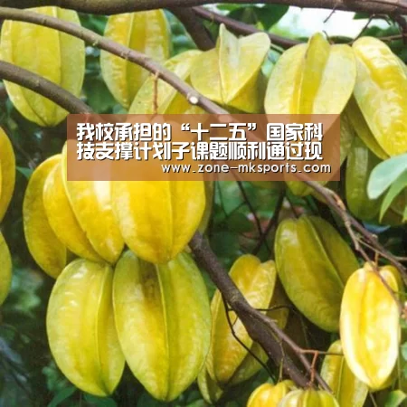 我校承担的“十二五”国家科技支撑计划子课题顺利通过现场查定_mk体育官方(图3) mk体育