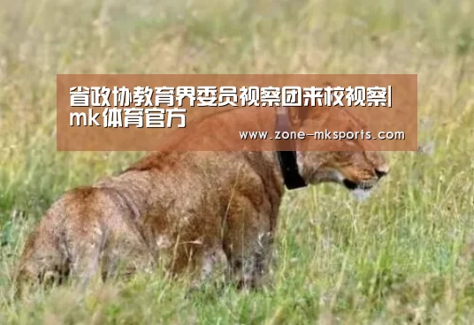 mk体育