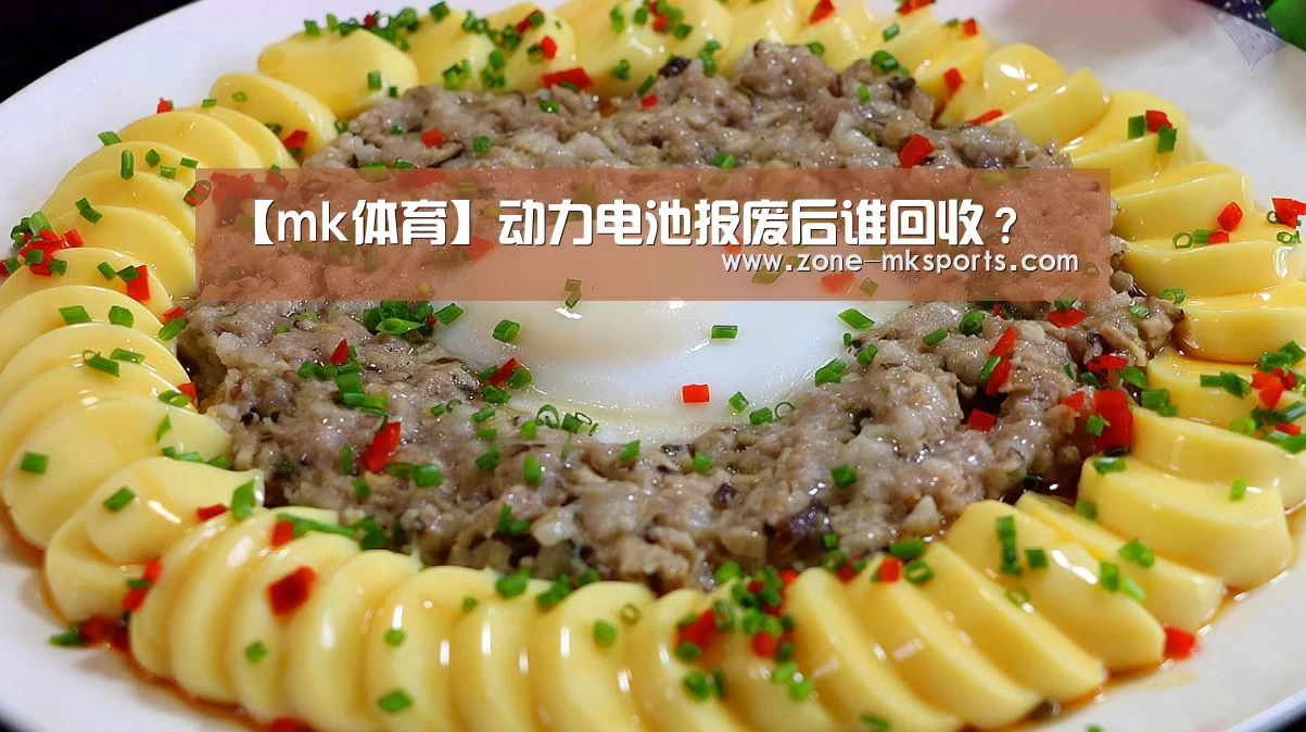 【mk体育】动力电池报废后谁回收?(图2) mk体育