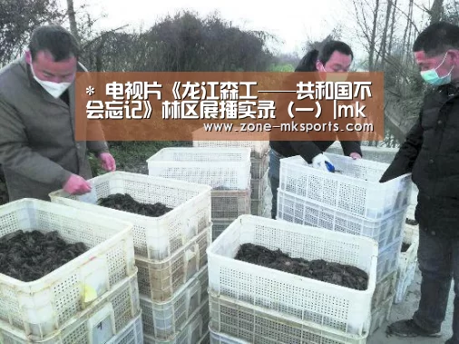 *
电视片《龙江森工——共和国不会忘记》林区展播实录(一)|mk体育官方(图4) mk体育官方