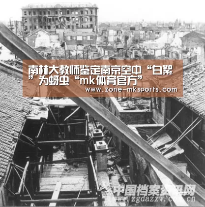 南林大教师鉴定南京空中“白絮”为蚜虫“mk体育官方”(图1) mk体育