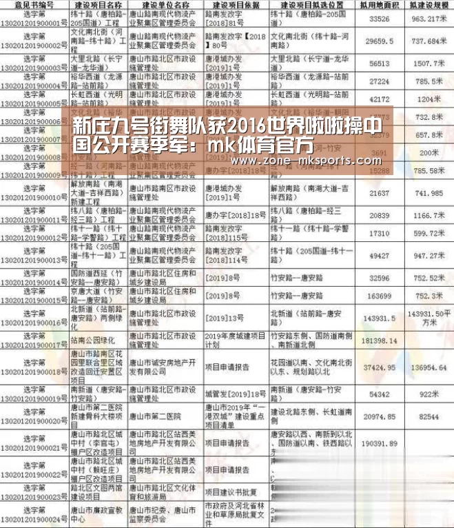 新庄九号街舞队获2016世界啦啦操中国公开赛季军:mk体育官方(图1) mk体育