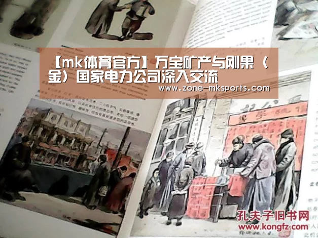 【mk体育官方】万宝矿产与刚果(金)国家电力公司深入交流(图4) mk体育官方