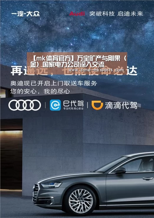 【mk体育官方】万宝矿产与刚果(金)国家电力公司深入交流(图3) mk体育