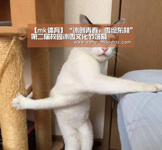 mk体育官方