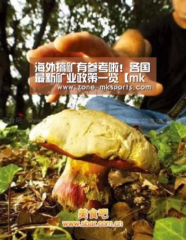 mk体育